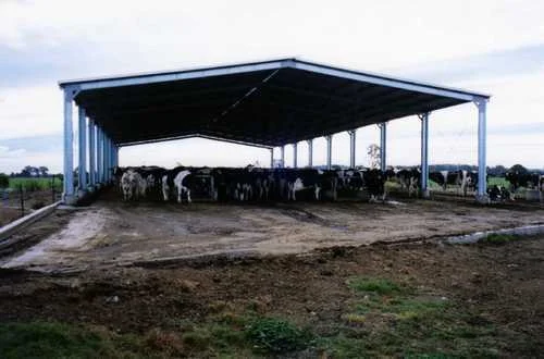 dairy-farm-peb-structure-sheds-500x500